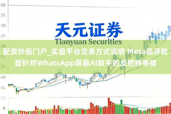 配资炒股门户_实盘平台交易方式说明 Meta品评欧盟针对WhatsApp屏蔽AI敌手的反把持举措