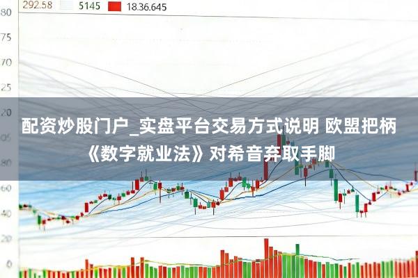配资炒股门户_实盘平台交易方式说明 欧盟把柄《数字就业法》对希音弃取手脚