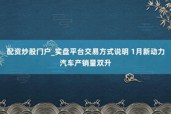 配资炒股门户_实盘平台交易方式说明 1月新动力汽车产销量双升